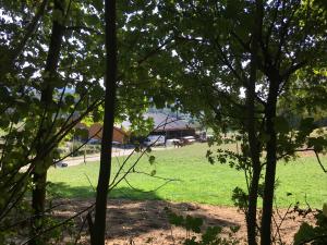 Ross und Wagen