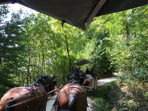 Ross und Wagen