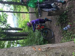 Bikeausflug der Aare entlang