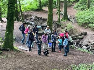 Tonen im Wald